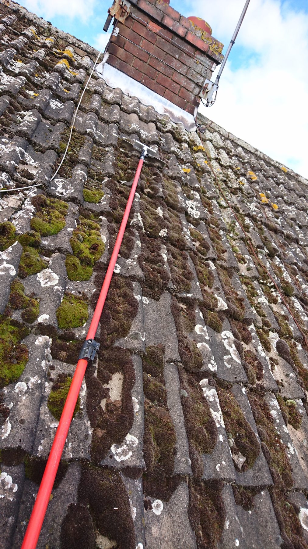 A roof heavily covered in moss and lichen, with the telescopic brush mid job