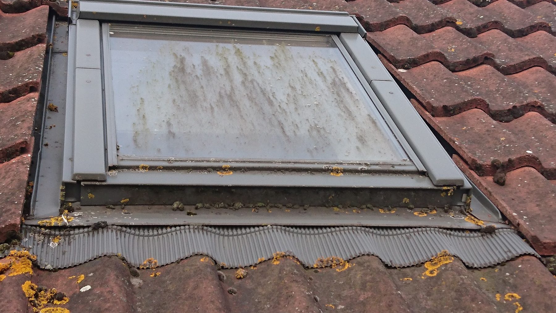 An algae streaked roof window set in pantiles before cleaning