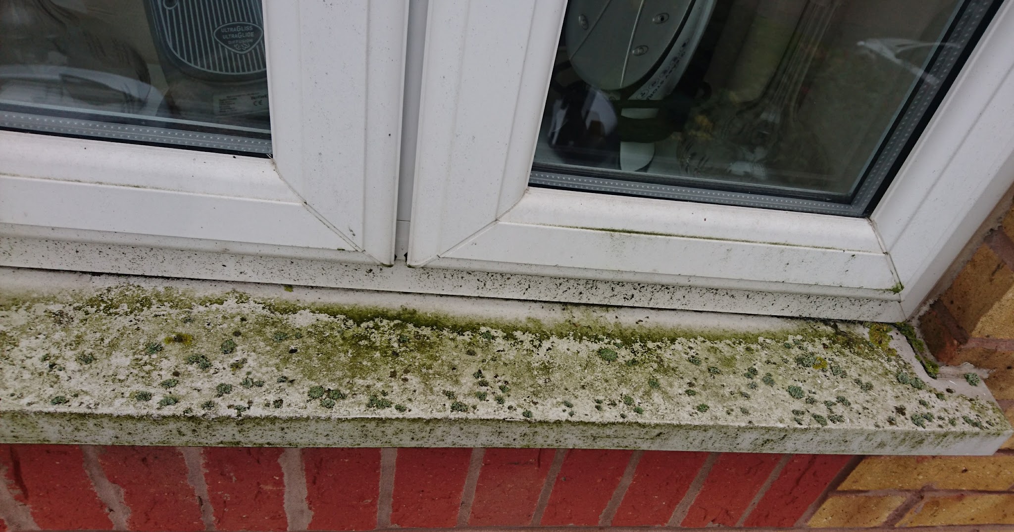 A window sill and uPVC frame furred with moss and lichen before cleaning