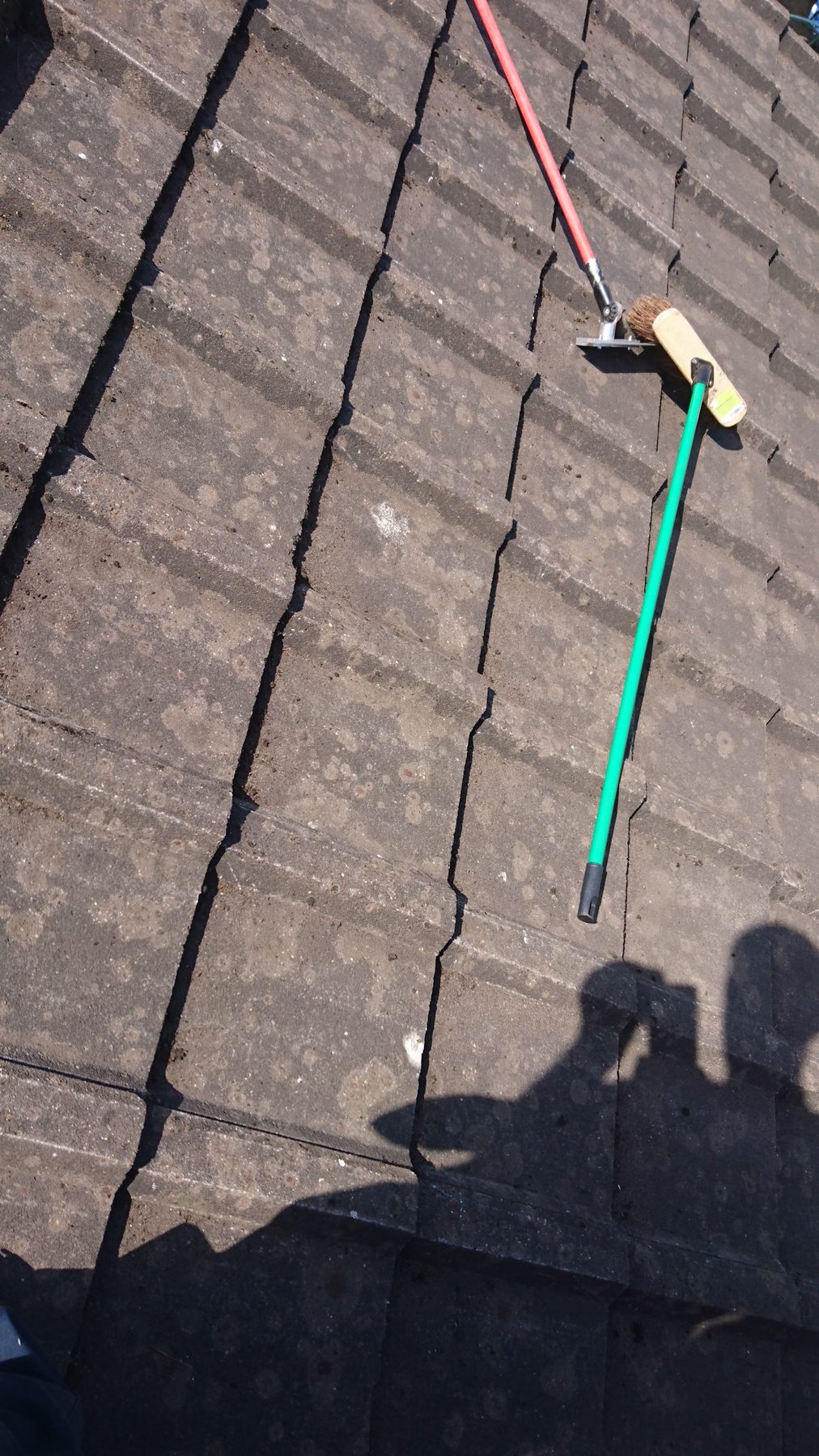 The same kind of roof with the moss brushed off and the tiles clear